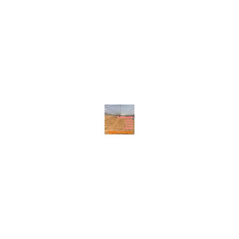 大棚钢管骨架蔬菜保温养殖种植简易塑料温室棚椭圆管连栋大棚定制