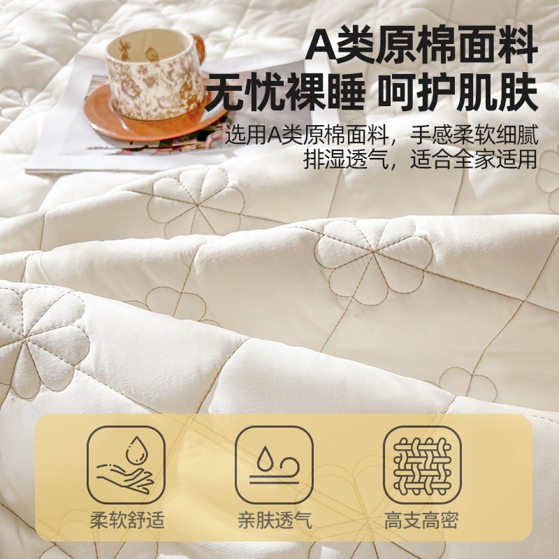 2025新款加厚夹棉床裙式床罩单件落地下摆防滑床单1.5m1.8米加棉