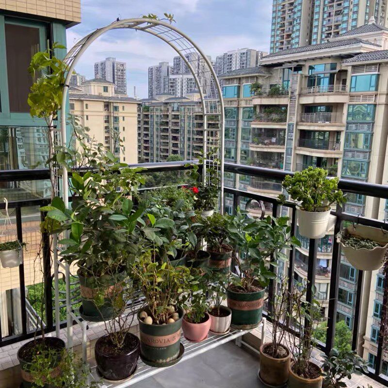 新品包邮铁艺拱门爬藤架置物架多层月季花架露台阳台绿植花盆挂架