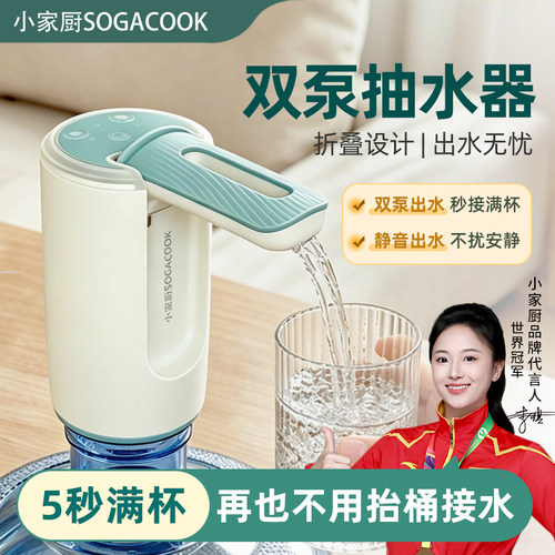 小家厨双泵定量自动上水抽水器