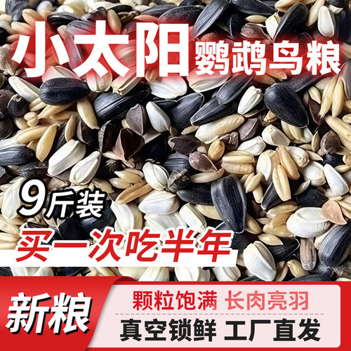 小太阳鹦鹉鸟粮鹦鹉粮食混合粮
