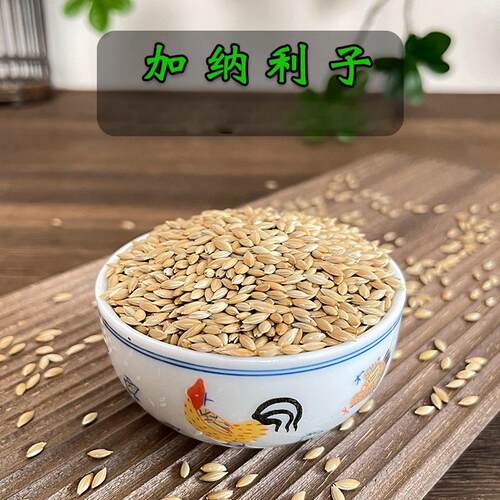 炫料鹦鹉鸟粮金丝雀白尖加纳利子鸟食珍珠鸟虎皮牡丹鹦鹉带壳谷子