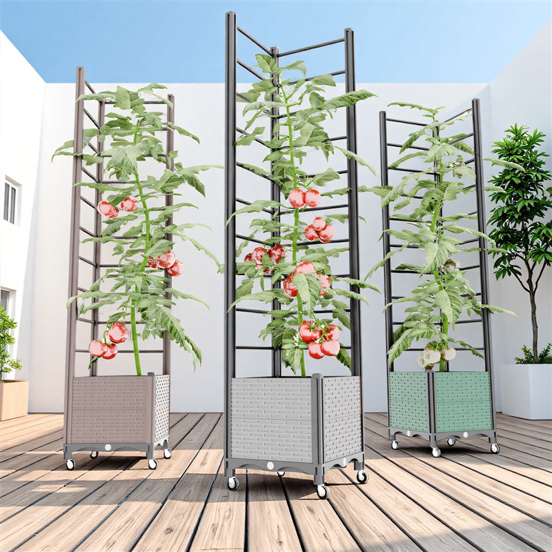 黄瓜爬藤架四季豆花架支撑杆葡萄架子庭院户外植物月季西红柿丝瓜