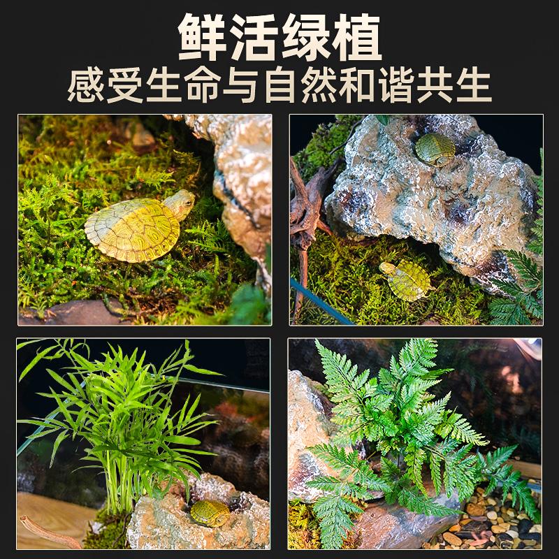 乌龟缸超白玻璃造景家用小别墅饲养箱半水龟养乌龟专用缸生态鱼缸