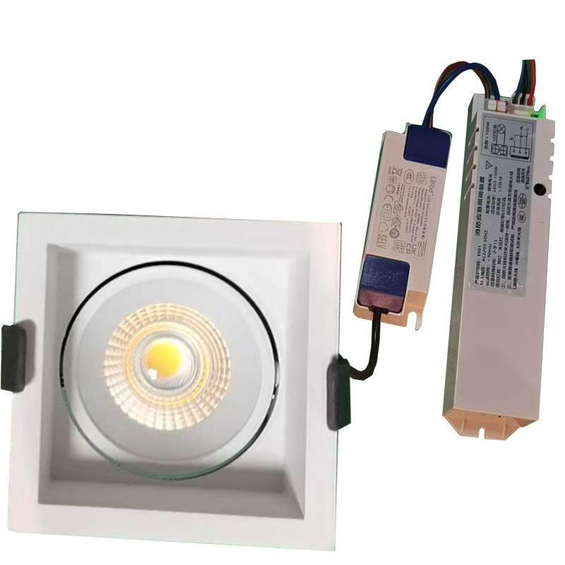 Emergency Light 3hrsLED迷你非持续式应急天花小射灯应急灯跨境