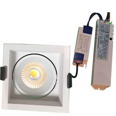 Emergency Light 3hrsLED迷你非持续式应急天花小射灯应急灯跨境