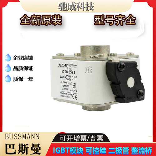 巴斯曼170M6569 170M6570 170M6571  低压保险丝诚信经营货源充足