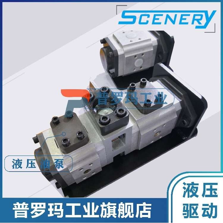 SCENERY双联内啮合齿轮泵 S2NCB系列 液压系统 伺服齿轮油泵 驱动