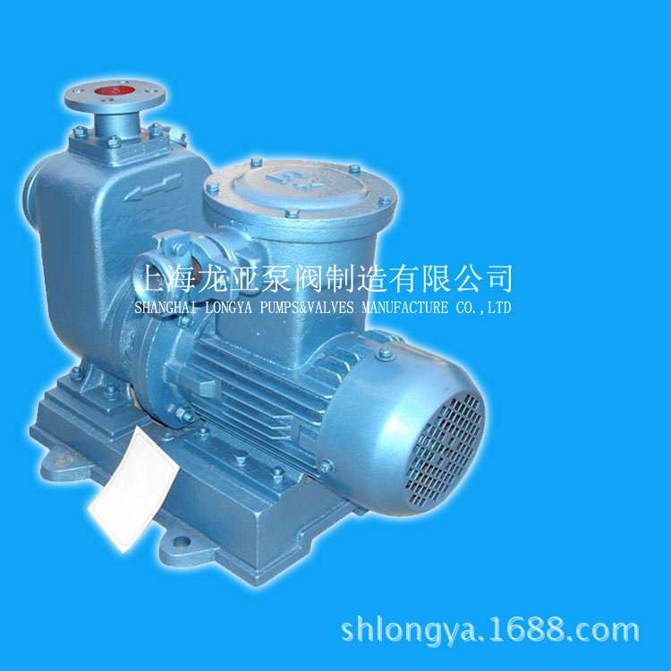 上海 ZXLP65-50-250自吸式离心污水泵 316材质清水泵