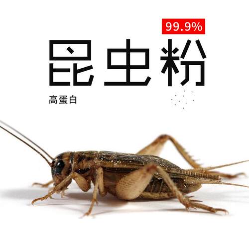 蟋蟀粉蚕蛹蟑螂面包虫昆虫粉虫粉豹纹睫角守宫蜥蜴肉食爬宠营养粉