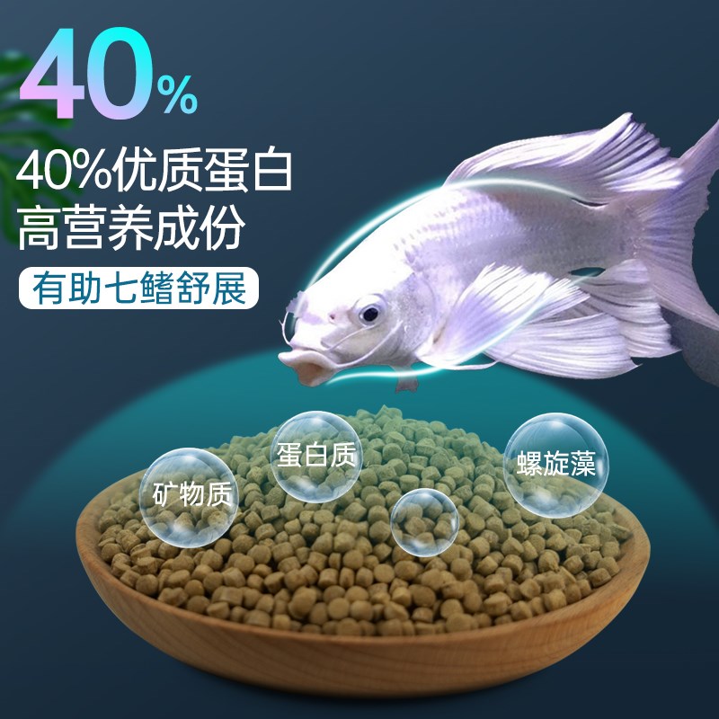 蝴蝶鲤鱼食锦鲤鱼饲料颗粒下沉鱼料增体专用不浑水鱼粮家用通用型