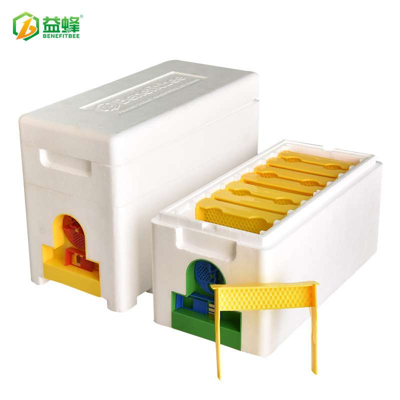 泡沫迷你育王箱跨境亚马逊爆款热卖蜂王交尾箱培育蜂箱授粉箱单层