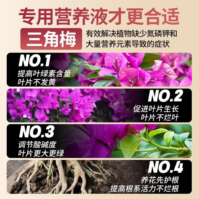 三角梅专用营养液免稀释肥料家用三角梅种植液体肥室内花卉通用型