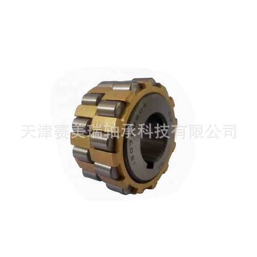 圆柱滚子609 2529YSX  整体偏心轴承  双列偏心轴承