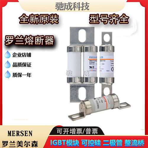 美尔森BS17US69V75P BS17US69V80P BS217UT69V65新保险丝 供应