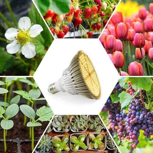 PAR38 E27黄仿太阳光植物灯光全光谱植物生长灯E26多肉植物补光灯