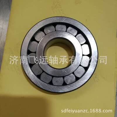 RNNX8 BC1B326312 HS263 F218974 F120720 F212543 RE218932轴承