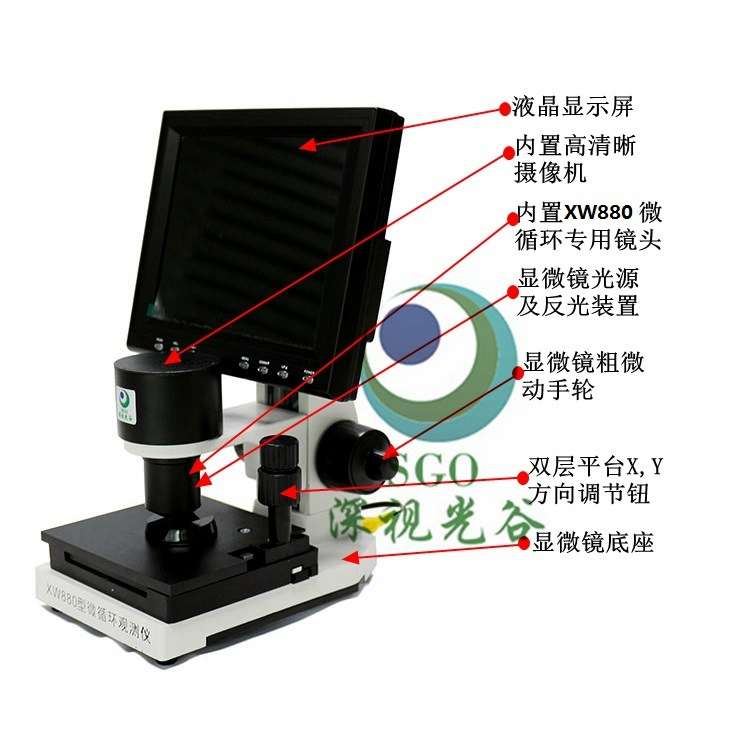 厂家直供 高清微循环观测仪XW880 专业检测甲壁血流 无创伤检测