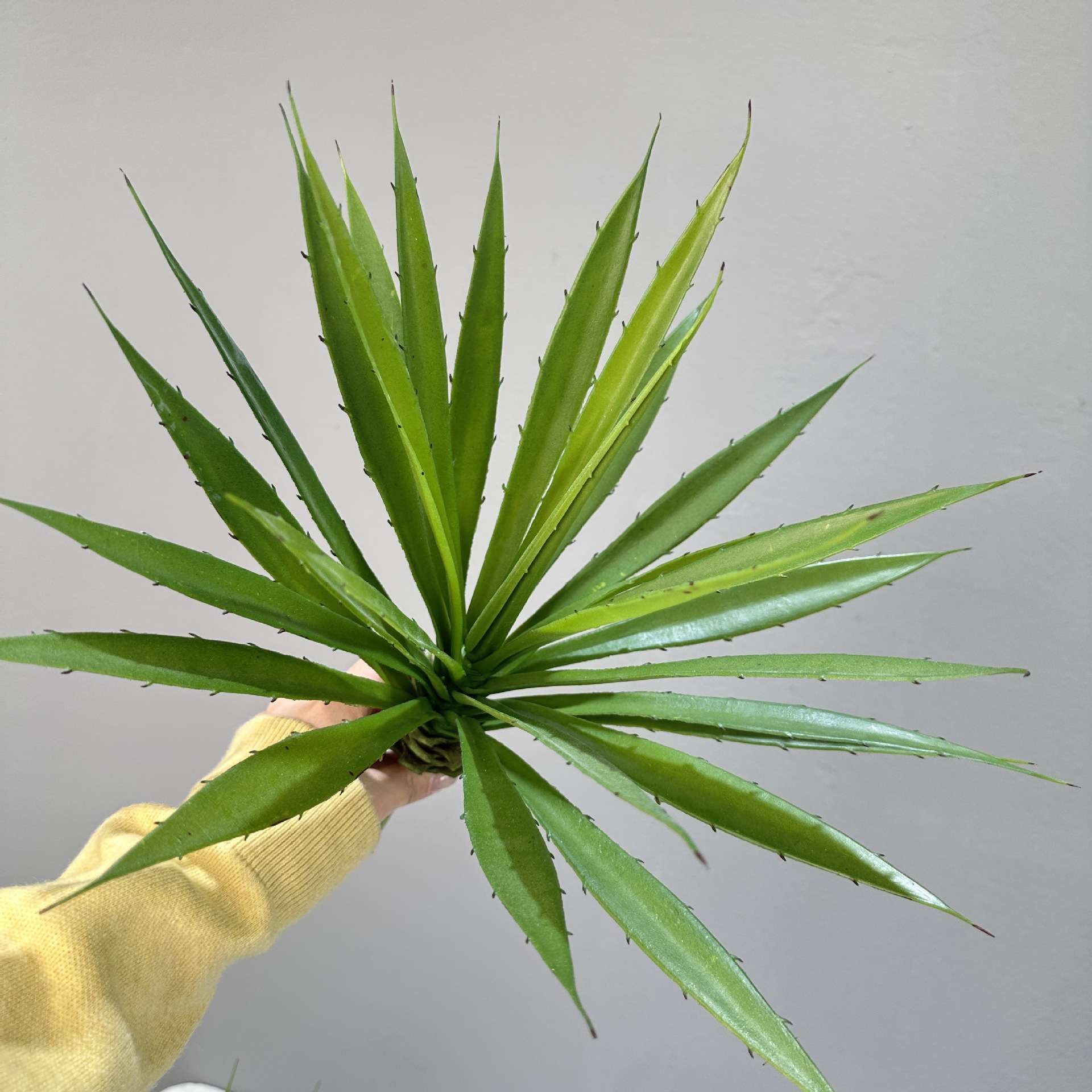 仿真剑兰龙舌兰盆栽假绿植王冠多肉剑麻树造景植物人造热带园林