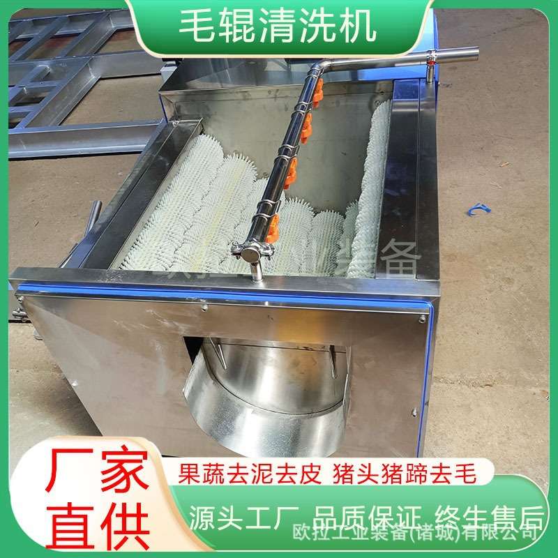 生姜果蔬去皮机 毛辊去皮清洗机 地瓜去泥沙去灰尘清洗设备