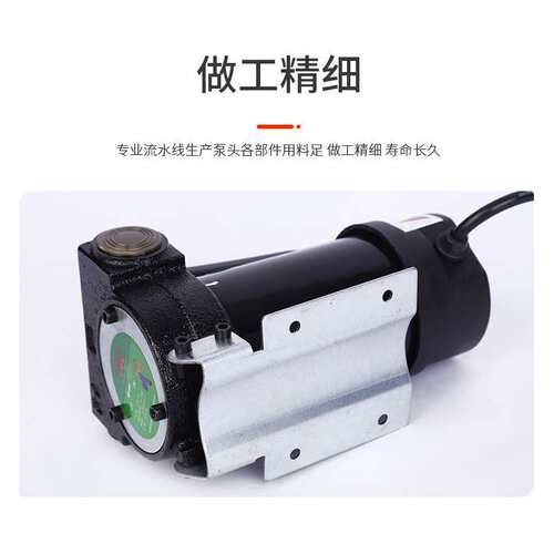 临沂12v24v22v电动油泵正反转加油泵现货大功率柴油抽油泵