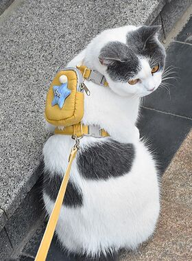 宠物猫绳子牵引绳带背包胸背式溜猫绳外出小书包幼猫布偶蓝猫用品