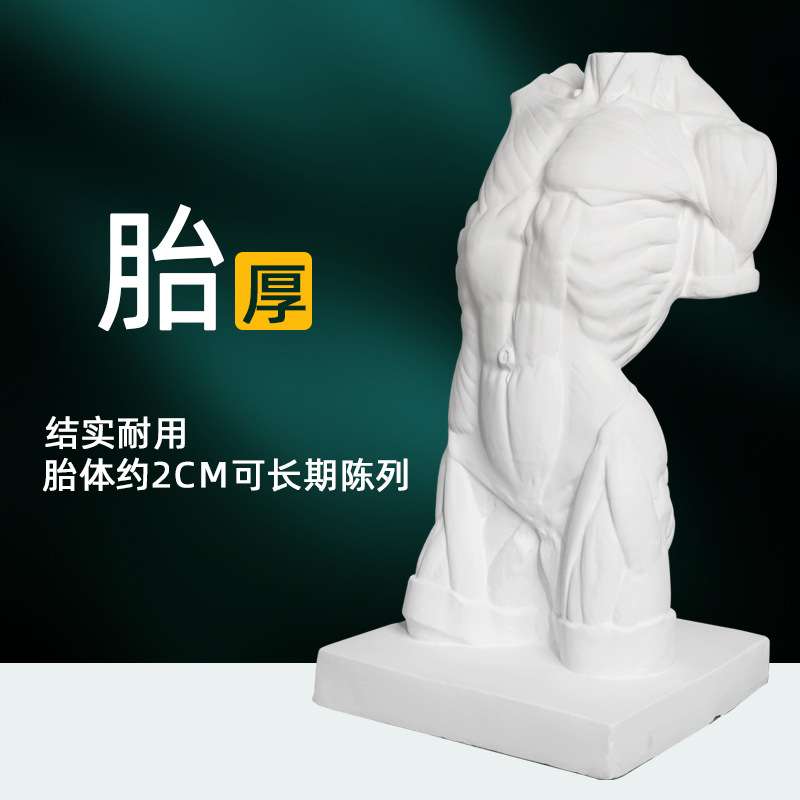 男躯干石膏胸像90cm写生素描绘画临摹雕塑美术石膏体摆件静物教具