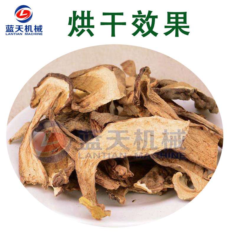 云南牛肝菌烘干机 全自动白牛肝菌见手青烘干箱 食用菌烘干一体机