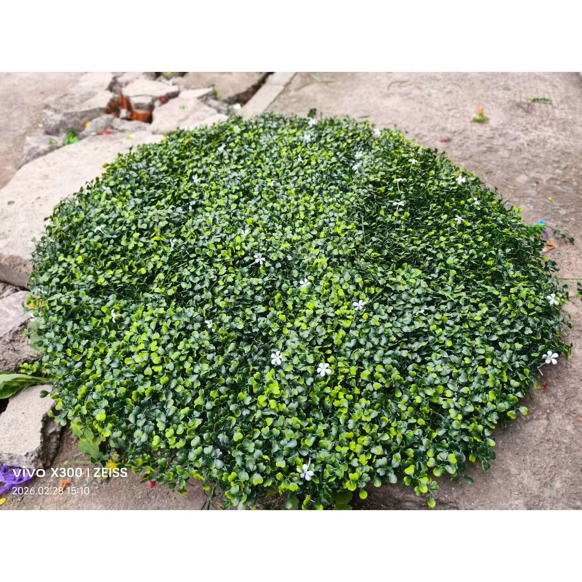 婚礼布置米兰草地店摄影门店门口装饰美化仿真绿植草丛草皮