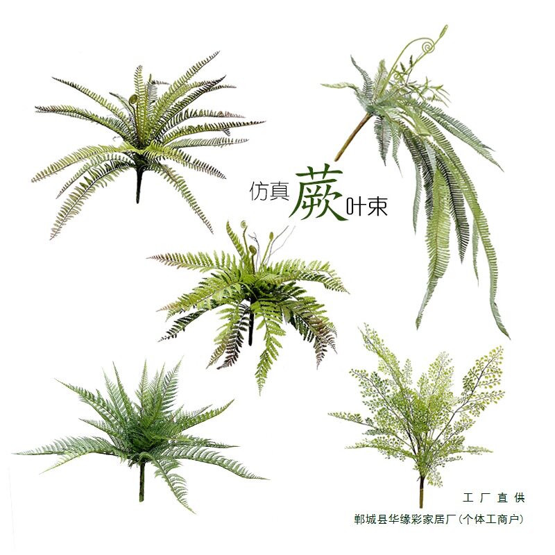 假森系庭院阳台植物墙花槽装饰排波斯蕨草羊齿叶束盆栽景装饰