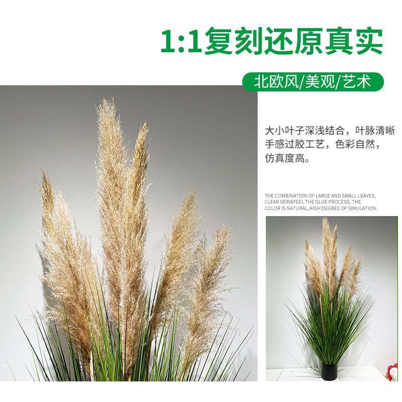 新款仿真芦苇蒲苇草干花装饰大芦苇花卉绿植物盆栽室内大型绿植
