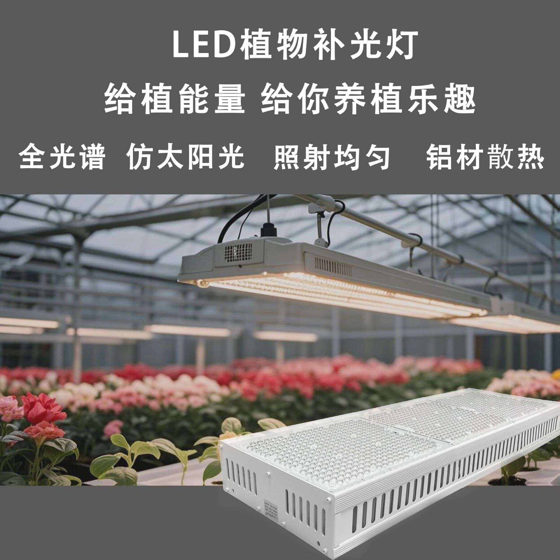 补光灯植物生长灯室内育苗景观全光谱绿植多肉植物