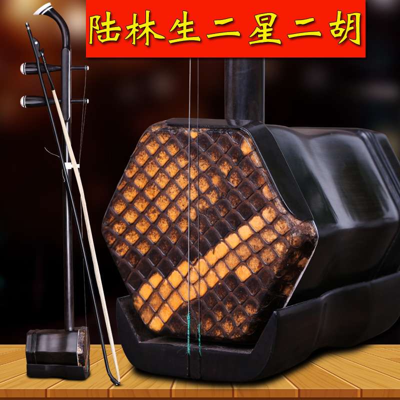 陆林生二星二胡阿诺古夷苏木手工二胡乐器送原厂配件