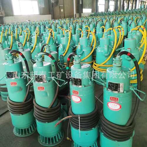 BQW BQS10-28-2.2矿用防爆潜水排沙排污电泵 CT4防爆等级 380660V