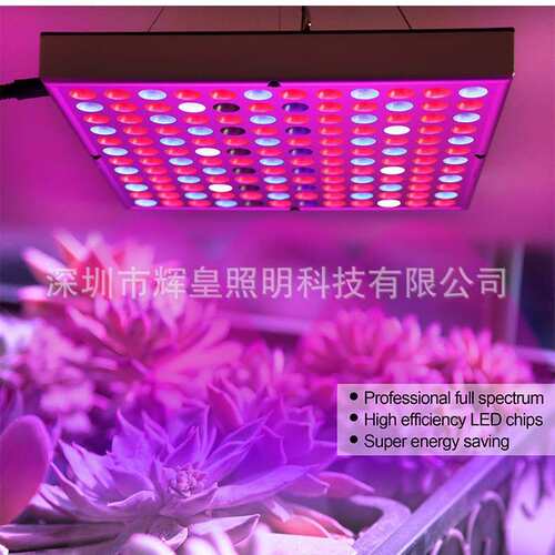 LED植物灯45W花卉多肉植物灯 25W全光谱温室室内植物生长灯育苗灯