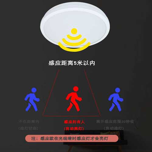 振辉36V低压智能吸顶灯LED过道走廊灯具楼梯灯雷ZF-ZFJC-E7W-8332