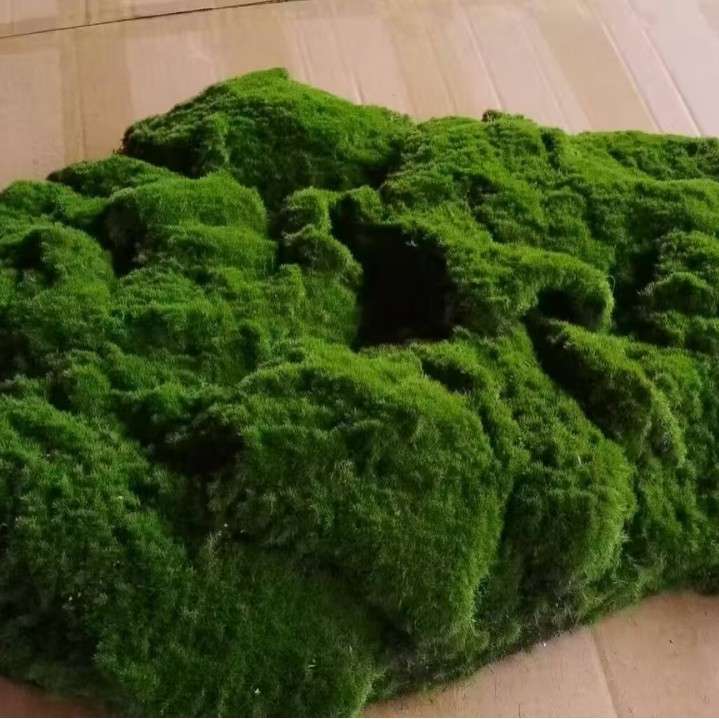 仿真苔藓草坪盆景绿植墙青苔草坪场景橱窗假苔藓森林系列软装装饰