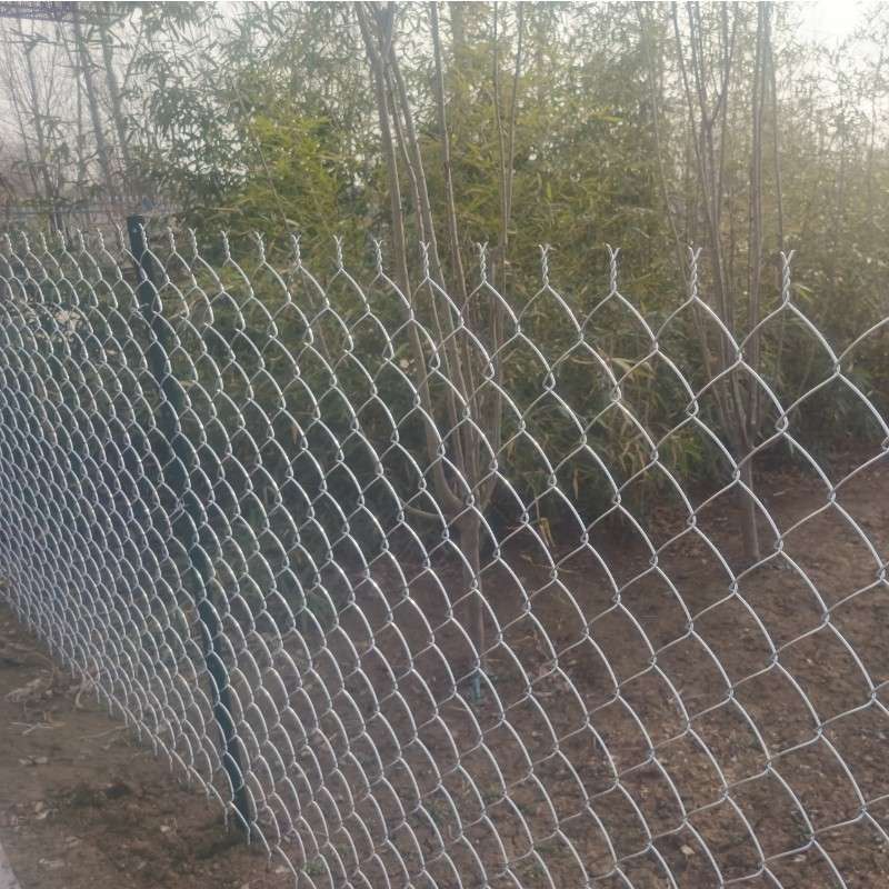菱形镀锌钢丝网护栏河道围网果园种植围栏圈地圈山养殖边坡勾花网