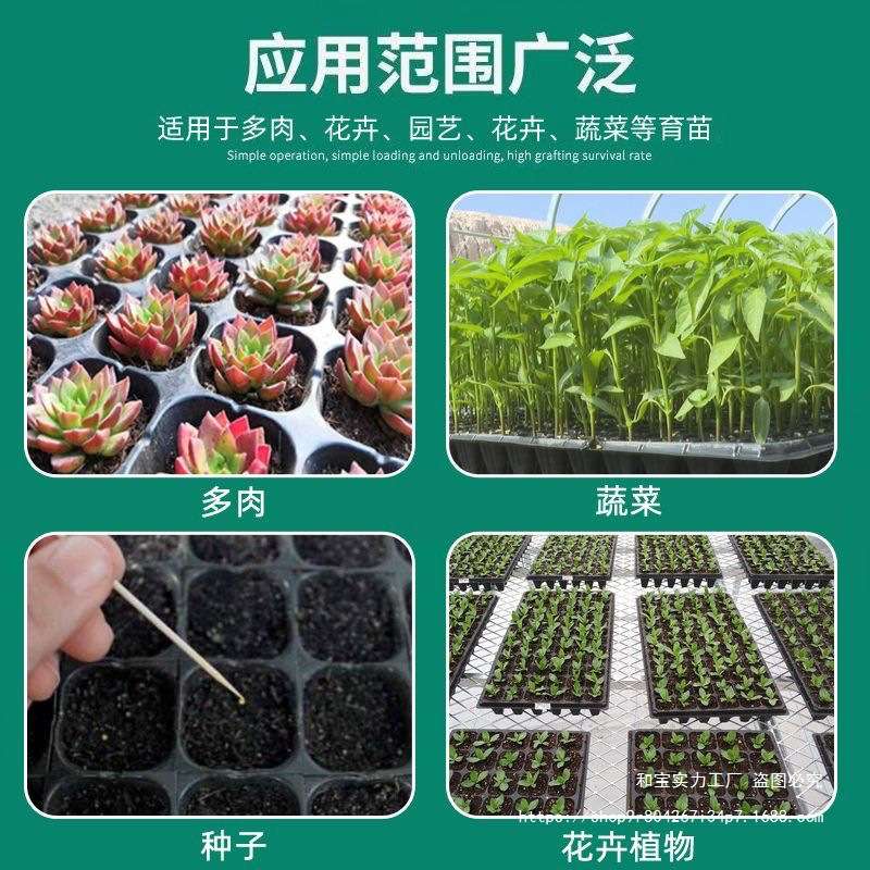 鲜花园艺育苗盘穴盘草莓玉米蔬菜多肉托盘神器耐用菜苗专用盘