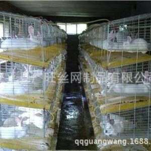 广旺丝网 商品兔笼 4层24位商品兔笼 獭兔养殖笼 兔笼厂家