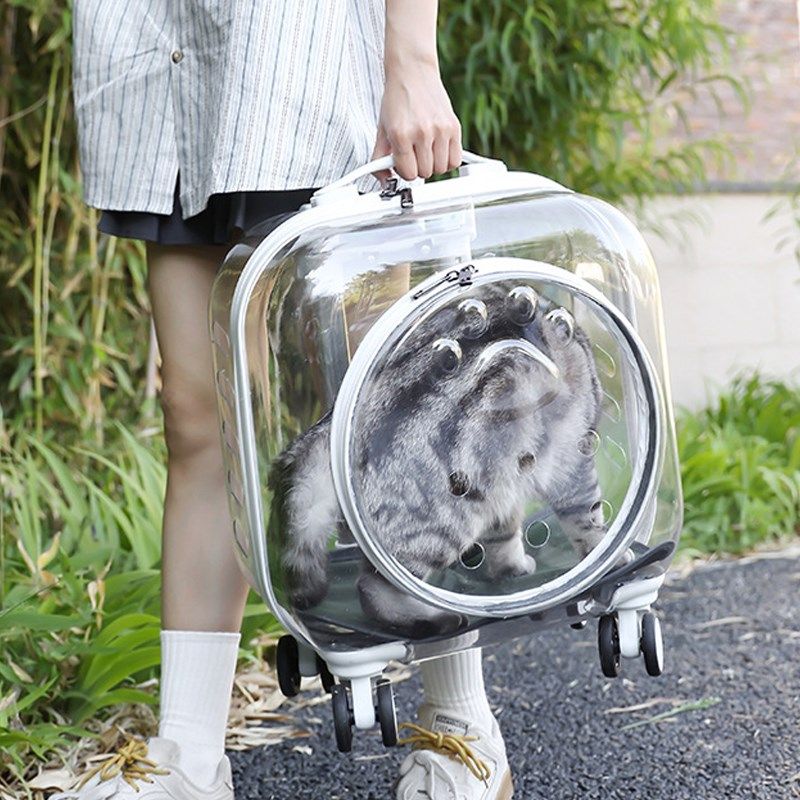 猫咪外出便携包宠物拉杆包透明猫包太空舱狗狗行李箱大容量泡泡箱