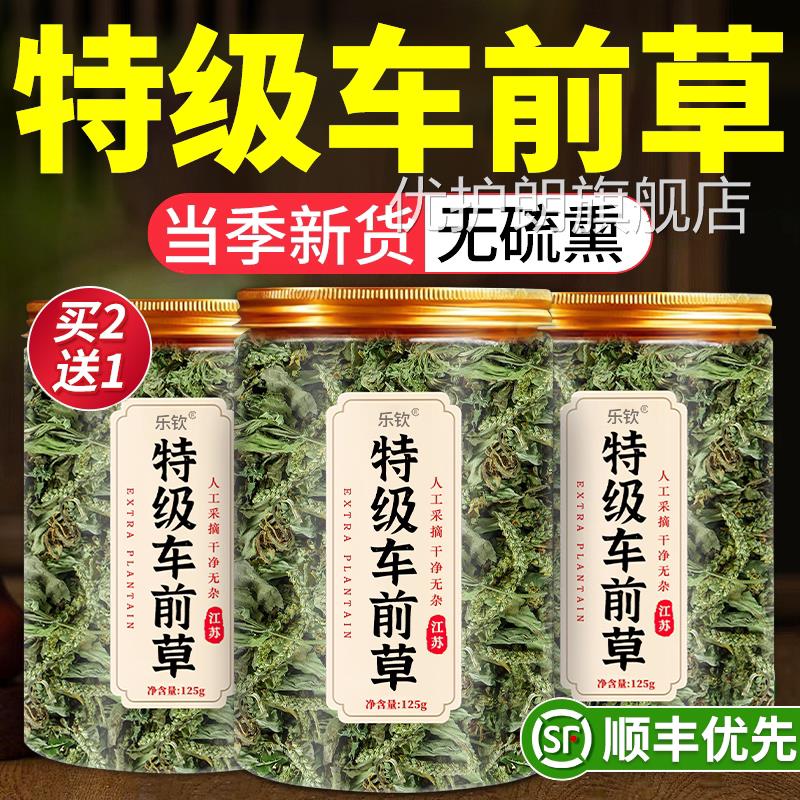 车前草野生新鲜干货官方旗舰店中药材正品茶水喝的功泡效与作用xl