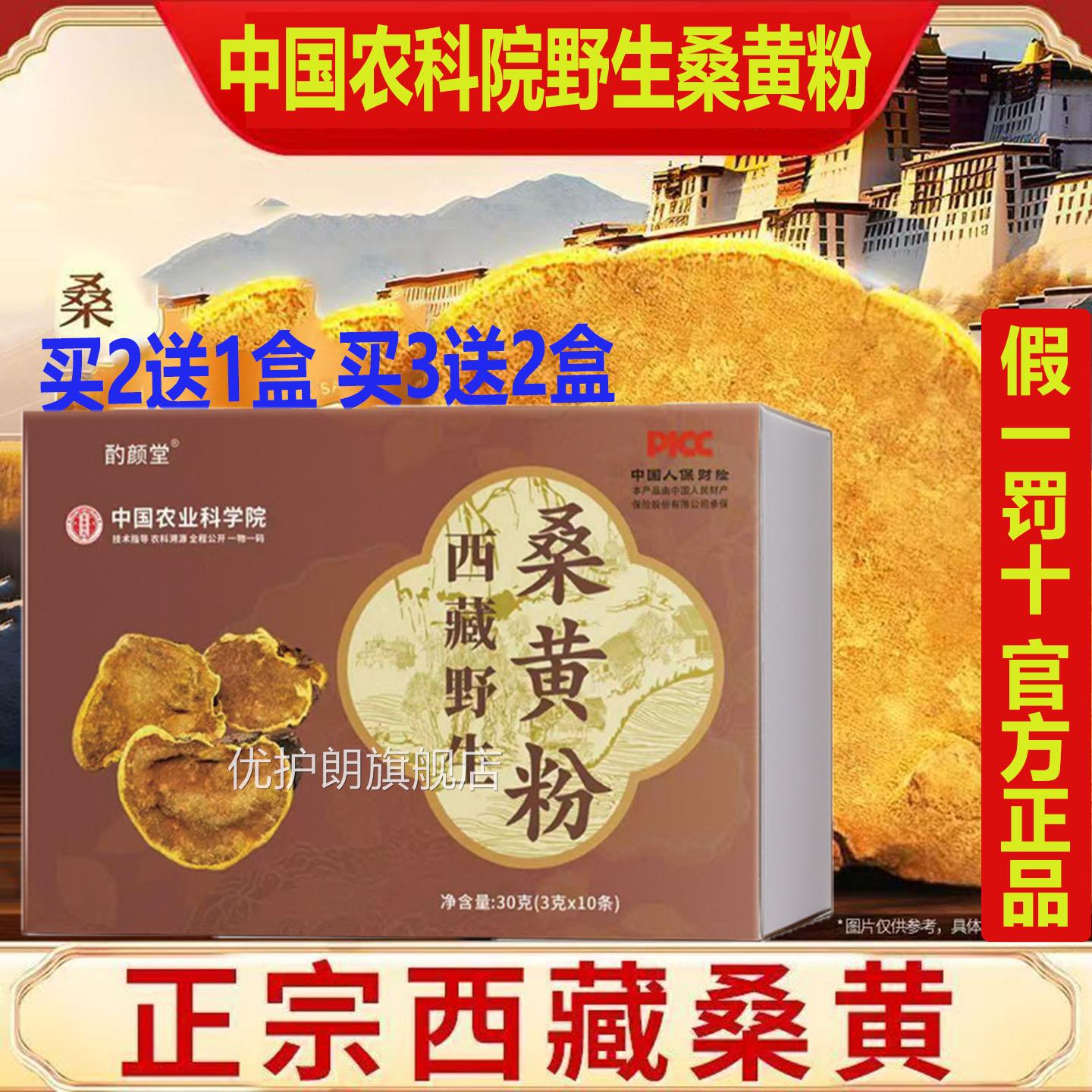 中国农业科院野生桑粉西藏桑黄超细粉独立包装无硫无杂黄野生无硫