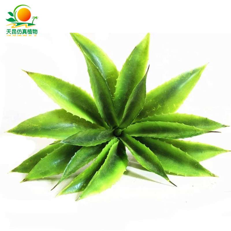 天昆仿真植物墙特色室内塑料多肉植物墙装饰广州仿真植物厂家直销