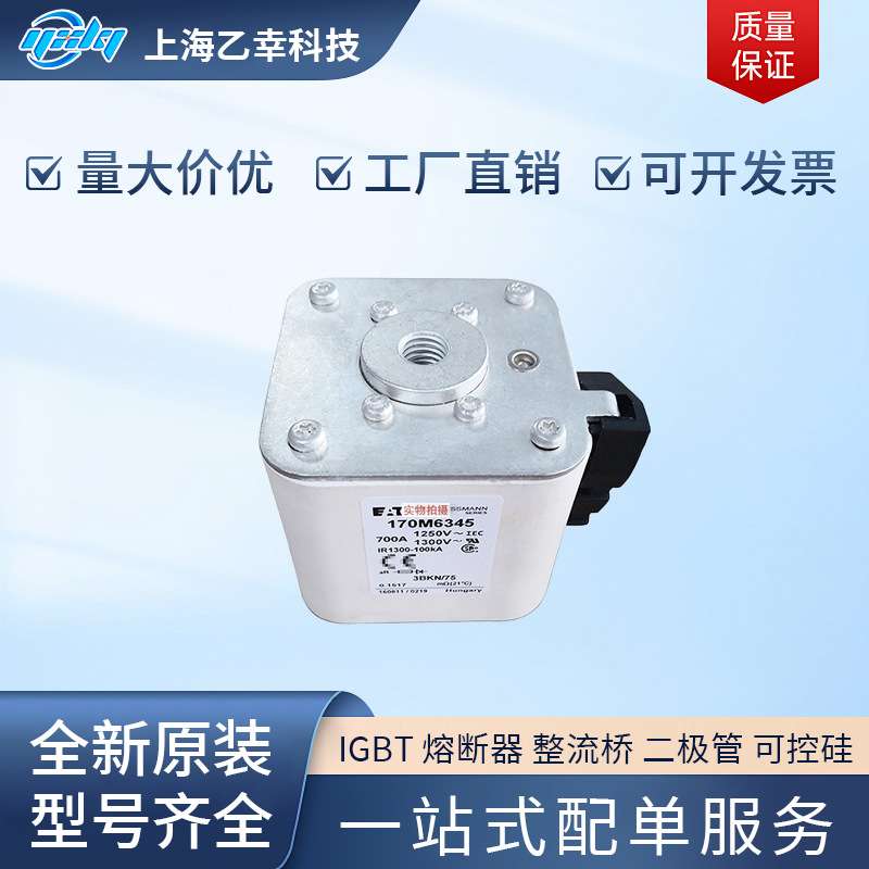 巴斯曼熔断器  170M6316 170M6317 170M6318 170M6325 170M6338