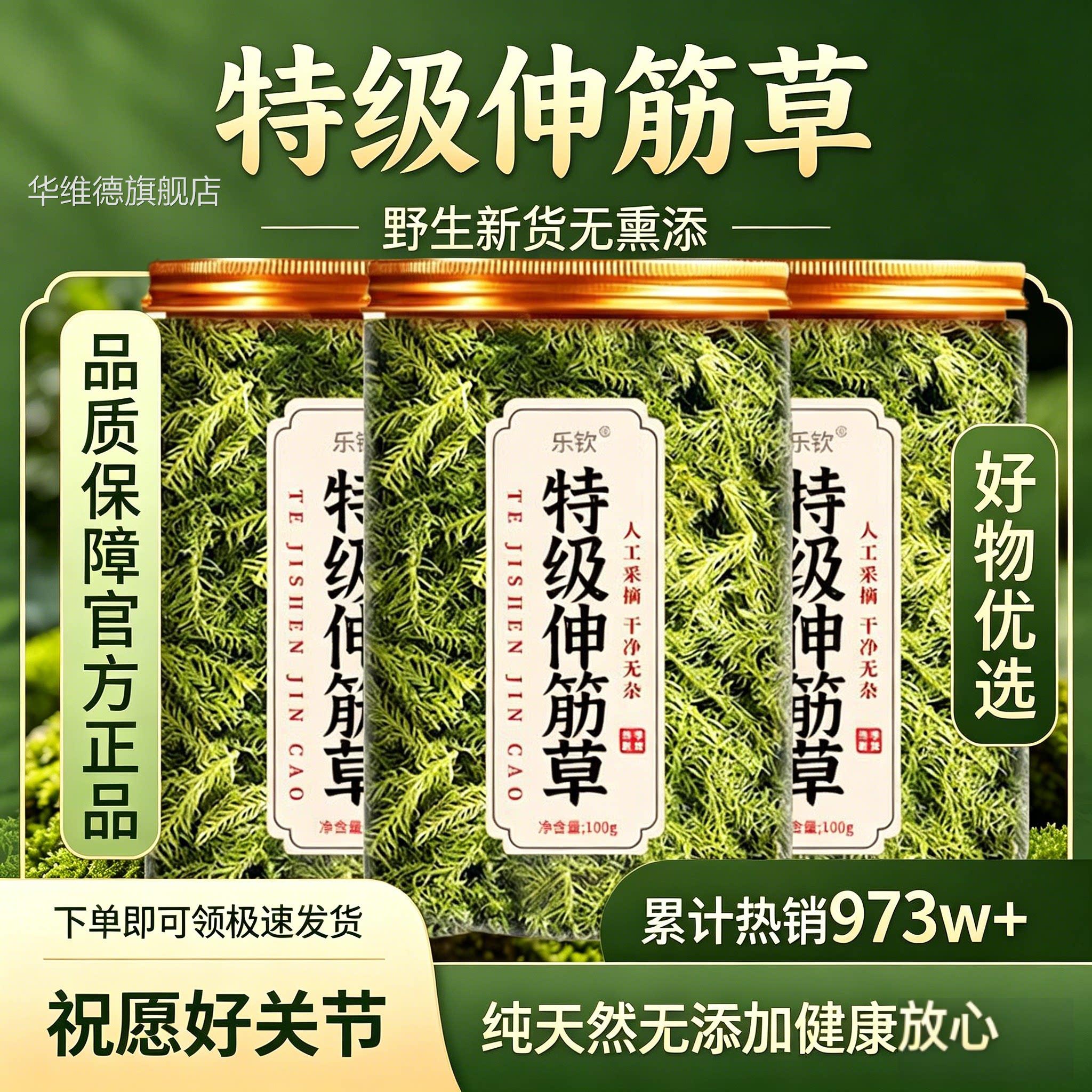 特级伸筋草中药材正品旗舰店野生小筋草伸中药透骨草正品zz华维德
