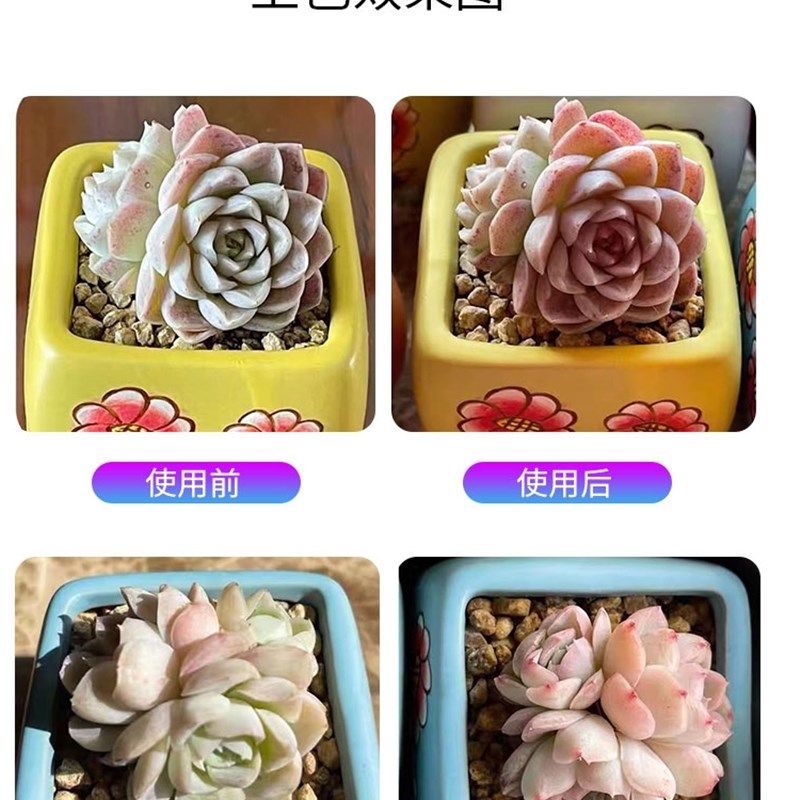 正阳多肉绿植花卉全光谱白光补光灯家用上色防徒室内大功率灯排