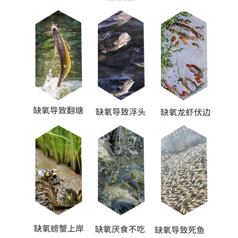 水产养殖鱼塘鱼缸增氧颗粒钓鱼打窝鱼虾蟹用增氧片粒粒氧过碳酸钠