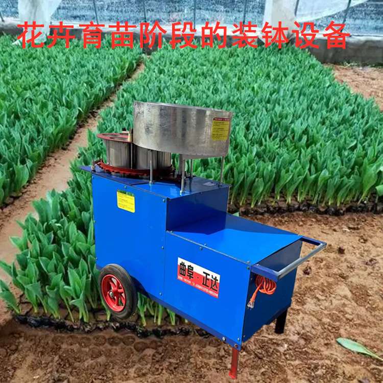 鲜花育苗杯袋装土机 育苗花土装钵机 育苗基质装杯机