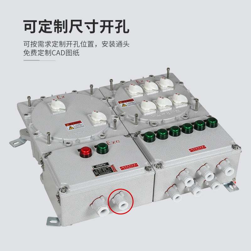 防爆控制箱中型25A防爆断路器BDZ52防粉尘配电装置铝合金防爆开关